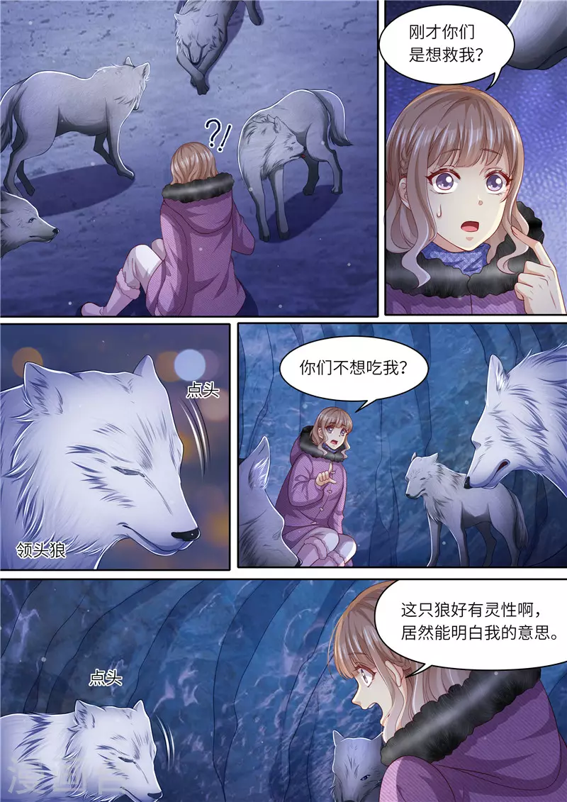 《天价豪门:夫人又跑了》漫画最新章节第309话 狼群来助免费下拉式在线观看章节第【10】张图片