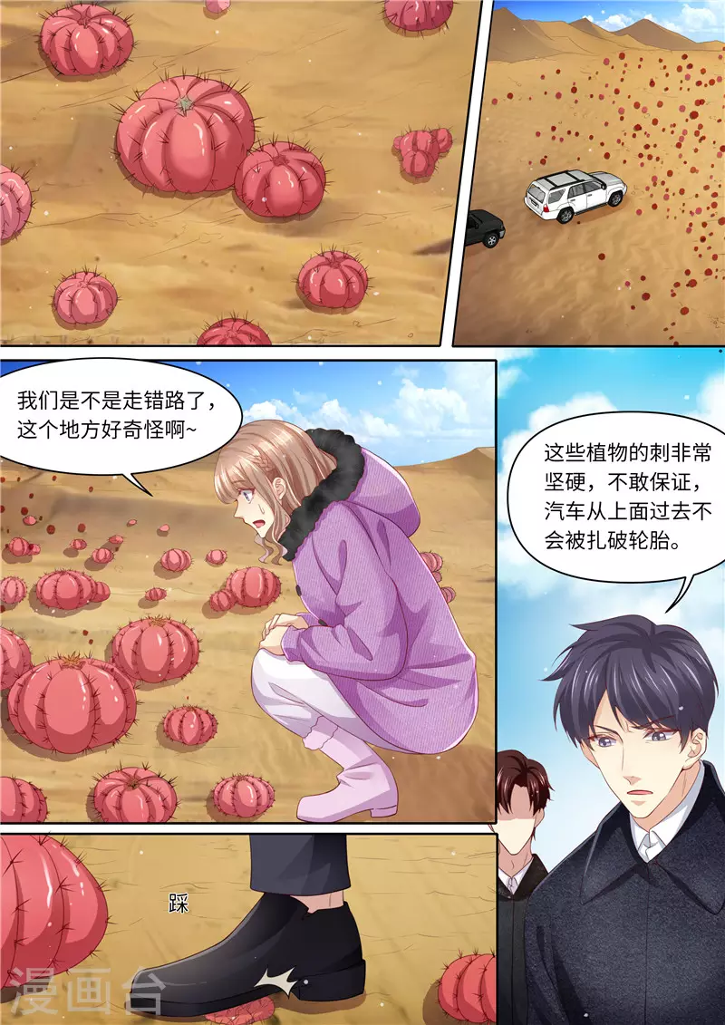 《天价豪门:夫人又跑了》漫画最新章节第313话 古城遗迹免费下拉式在线观看章节第【4】张图片