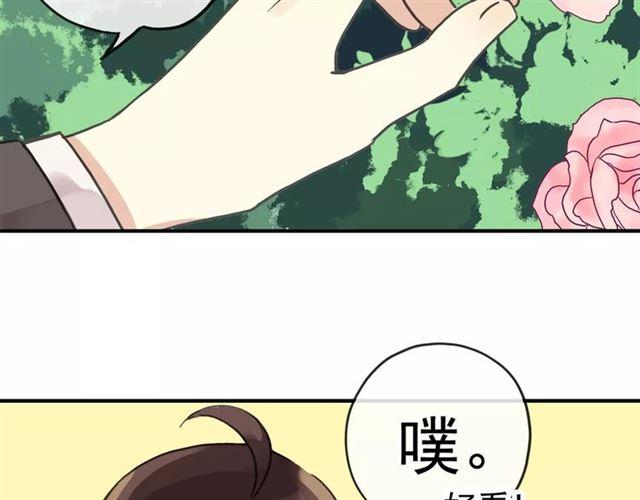 《甜美的咬痕》漫画最新章节第62话 选择免费下拉式在线观看章节第【8】张图片