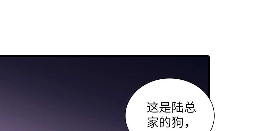 《甜心V5：BOSS宠之过急》漫画最新章节第194话 受伤免费下拉式在线观看章节第【90】张图片