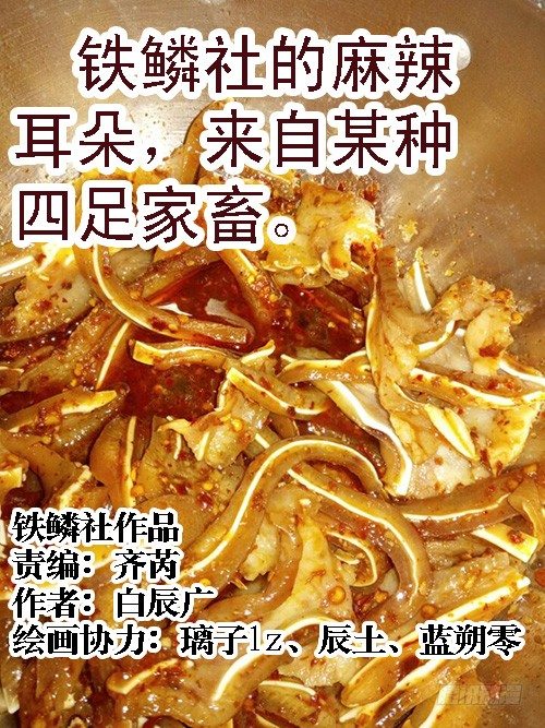 《铁姬钢兵》漫画最新章节暗金战体免费下拉式在线观看章节第【12】张图片