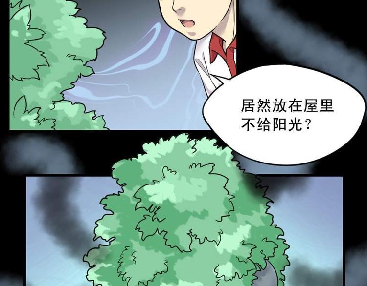 《剃头匠》漫画最新章节第11话 阴沉木 2免费下拉式在线观看章节第【6】张图片