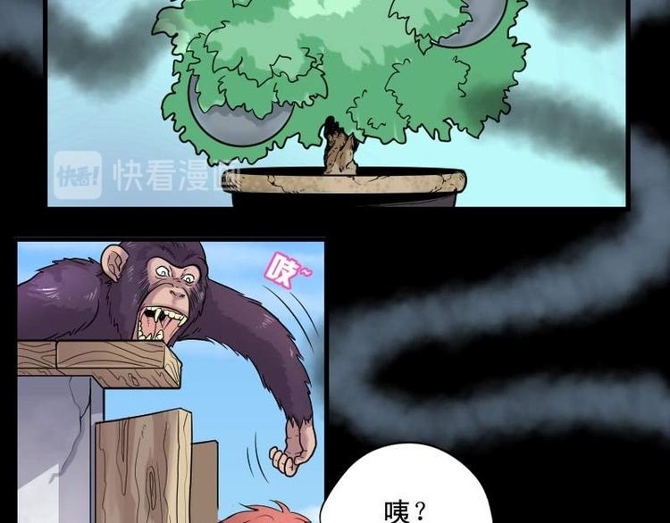 《剃头匠》漫画最新章节第11话 阴沉木 2免费下拉式在线观看章节第【7】张图片