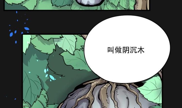 《剃头匠》漫画最新章节第12话 阴沉木 3免费下拉式在线观看章节第【11】张图片