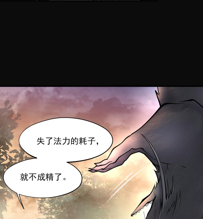 《剃头匠》漫画最新章节第207话 红娘子 3免费下拉式在线观看章节第【62】张图片