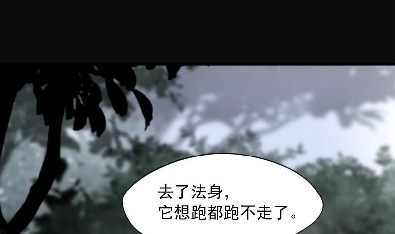 《剃头匠》漫画最新章节第209话 红娘子 5免费下拉式在线观看章节第【17】张图片