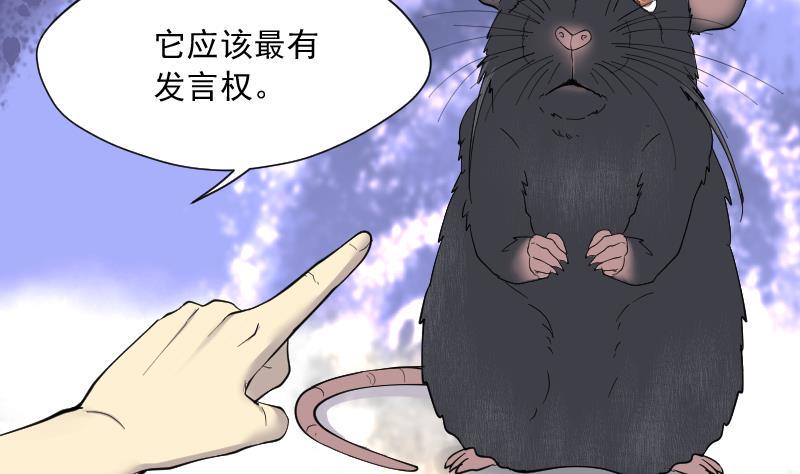 《剃头匠》漫画最新章节第209话 红娘子 5免费下拉式在线观看章节第【25】张图片