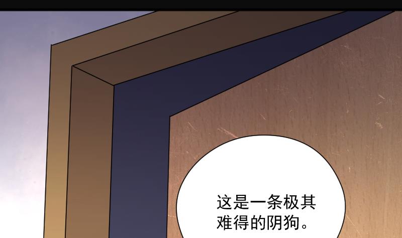 《剃头匠》漫画最新章节第224话 三条腿的狗腿 2免费下拉式在线观看章节第【65】张图片