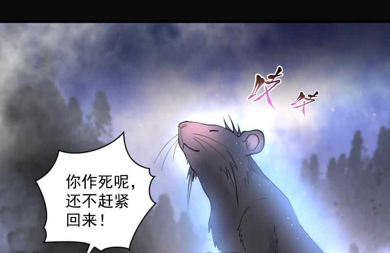 《剃头匠》漫画最新章节第253话 白骨船、人皮帆 3免费下拉式在线观看章节第【82】张图片