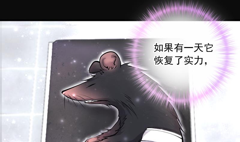 《剃头匠》漫画最新章节第271话 鼠妖的秘密 1免费下拉式在线观看章节第【43】张图片