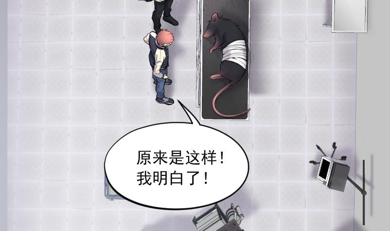 《剃头匠》漫画最新章节第271话 鼠妖的秘密 1免费下拉式在线观看章节第【52】张图片