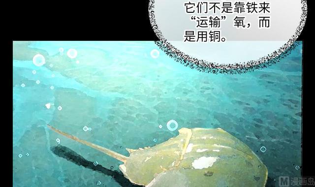 《剃头匠》漫画最新章节第353话 落惊发 2免费下拉式在线观看章节第【15】张图片