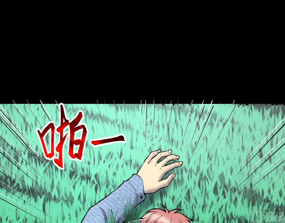 《剃头匠》漫画最新章节第388话 灯龙果 1免费下拉式在线观看章节第【42】张图片