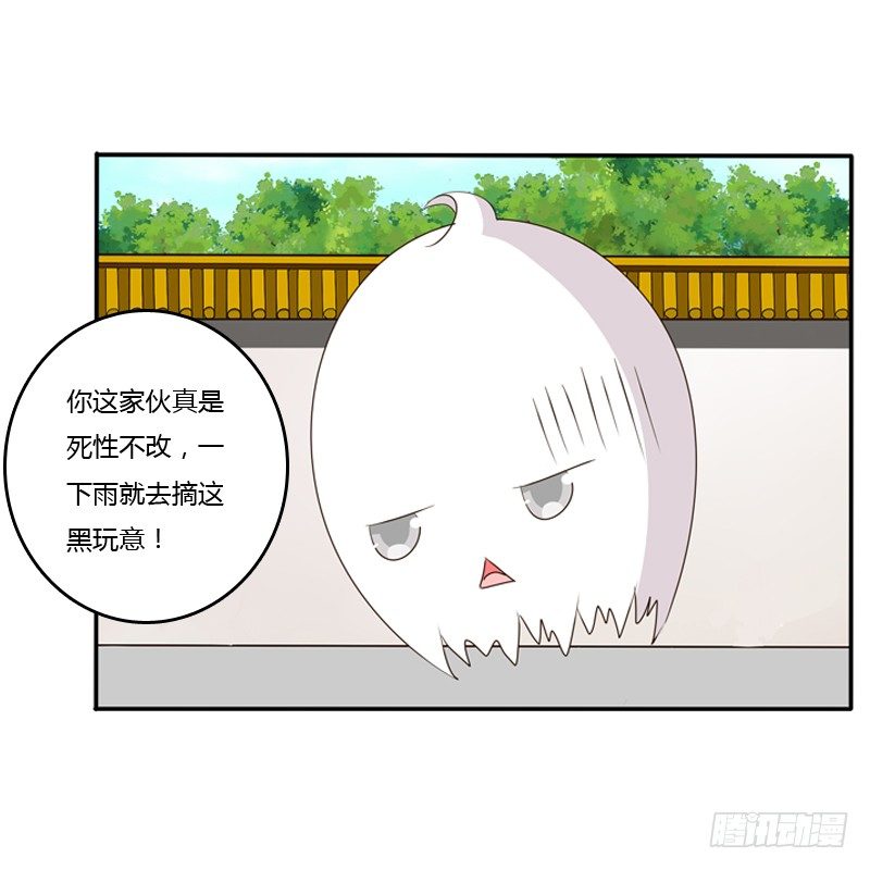 《通灵妃》漫画最新章节玉子墨来访免费下拉式在线观看章节第【21】张图片