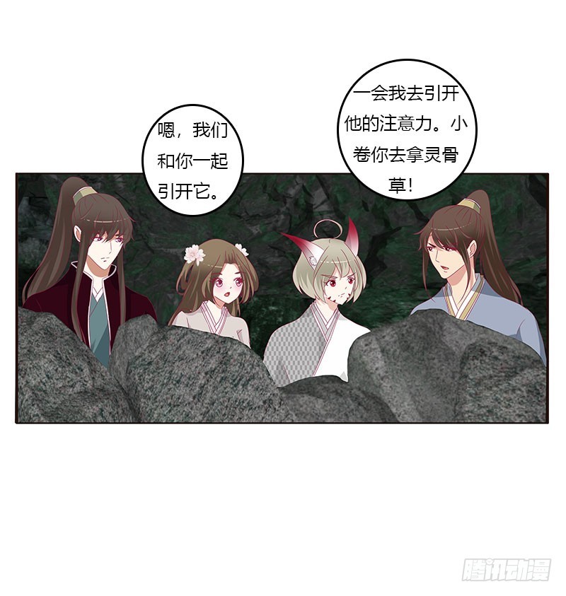 《通灵妃》漫画最新章节灵骨草免费下拉式在线观看章节第【22】张图片