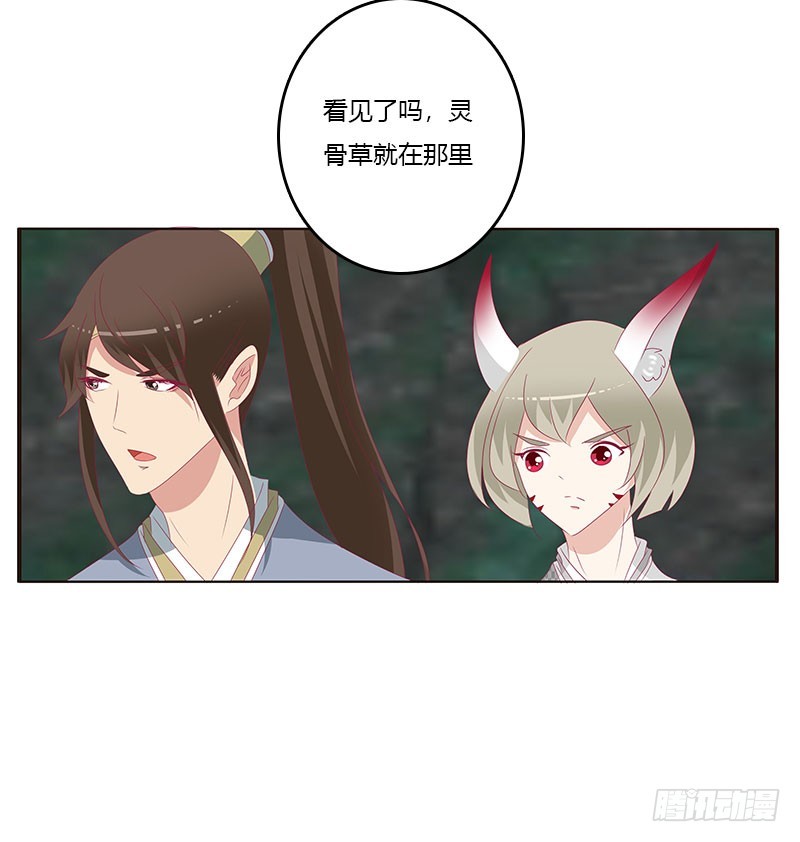 《通灵妃》漫画最新章节灵骨草免费下拉式在线观看章节第【24】张图片