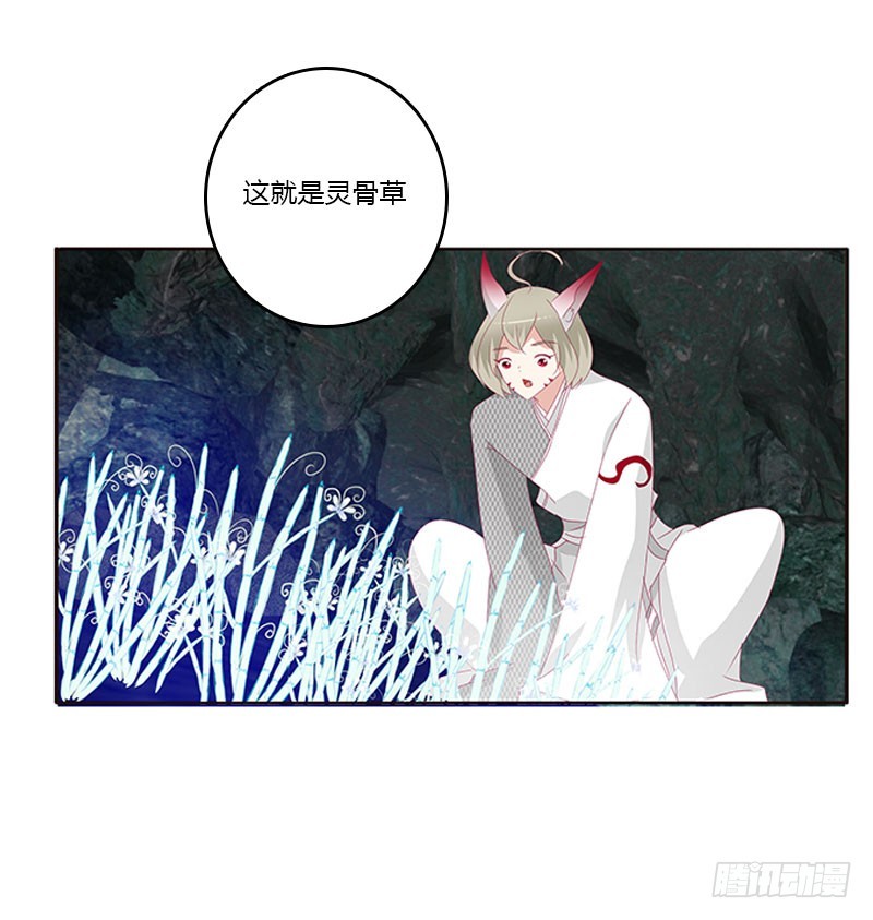 《通灵妃》漫画最新章节灵骨草免费下拉式在线观看章节第【50】张图片