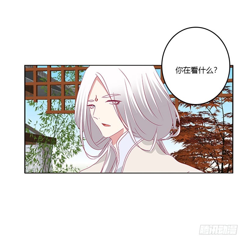 《通灵妃》漫画最新章节本君很不爽免费下拉式在线观看章节第【11】张图片