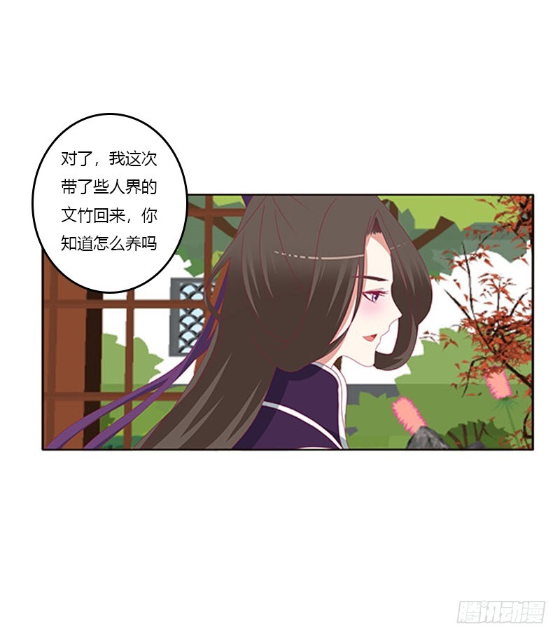 《通灵妃》漫画最新章节相见恨晚免费下拉式在线观看章节第【46】张图片