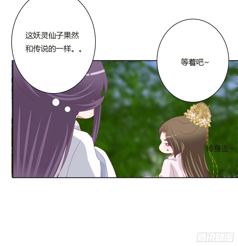 《通灵妃》漫画最新章节本君会心疼的免费下拉式在线观看章节第【37】张图片