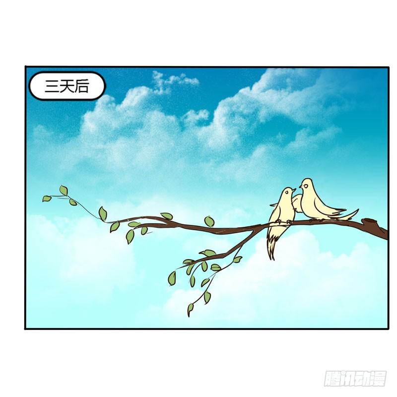 《通灵妃》漫画最新章节去哪儿免费下拉式在线观看章节第【31】张图片