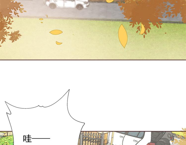 《团宠大佬三岁半》漫画最新章节第4话 辣眼的审美免费下拉式在线观看章节第【61】张图片