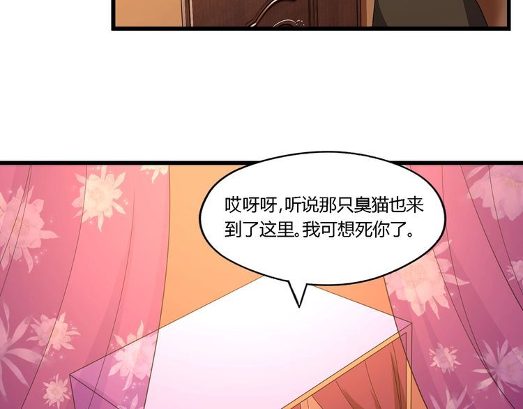 《吞噬领域》漫画最新章节第177话 赘婿免费下拉式在线观看章节第【111】张图片