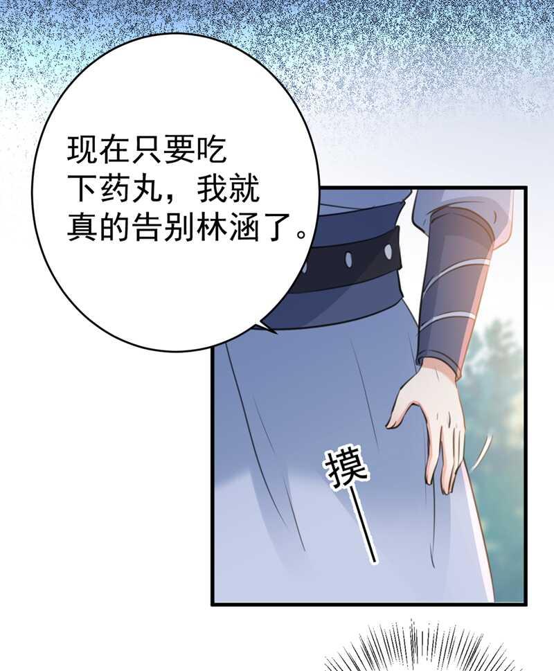 《王爷不能撩》漫画最新章节第203话 告别林涵计划免费下拉式在线观看章节第【22】张图片