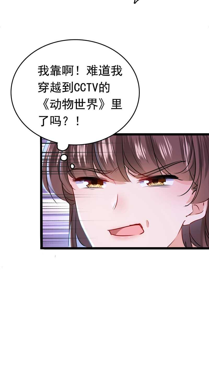 《王爷不能撩》漫画最新章节第219话 我走了，保重！免费下拉式在线观看章节第【28】张图片