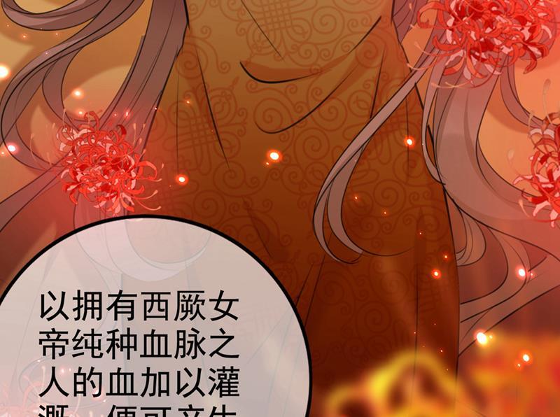 《王爷不能撩》漫画最新章节用你的血复活沐心免费下拉式在线观看章节第【25】张图片