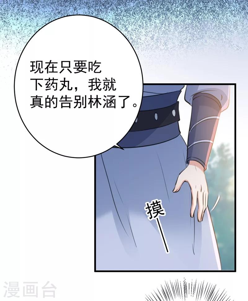 《王爷你好帅》漫画最新章节第203话 告别林涵计划免费下拉式在线观看章节第【22】张图片