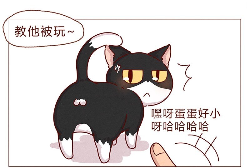 《喂，看见耳朵啦》漫画最新章节198话 吸猫不如吸淼免费下拉式在线观看章节第【10】张图片