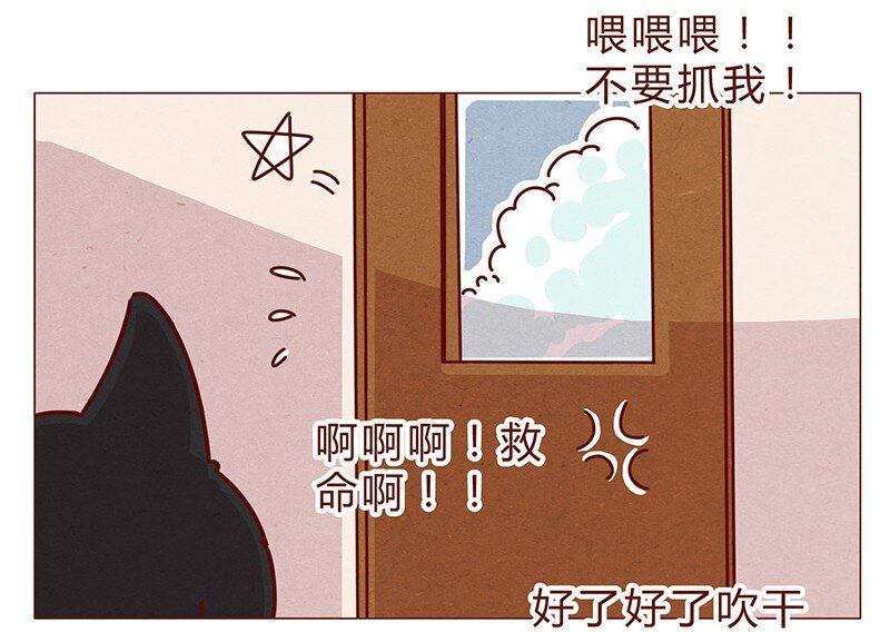 《喂，看见耳朵啦》漫画最新章节198话 吸猫不如吸淼免费下拉式在线观看章节第【13】张图片