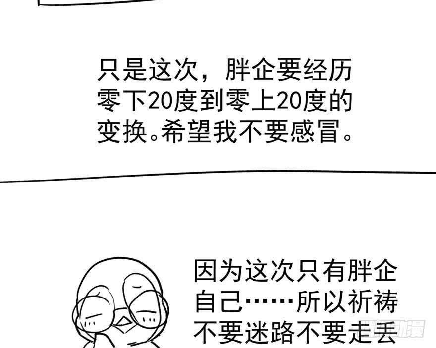 《我才不是恶毒女配（麻辣女配）》漫画最新章节来和肖简抢人啊！免费下拉式在线观看章节第【112】张图片