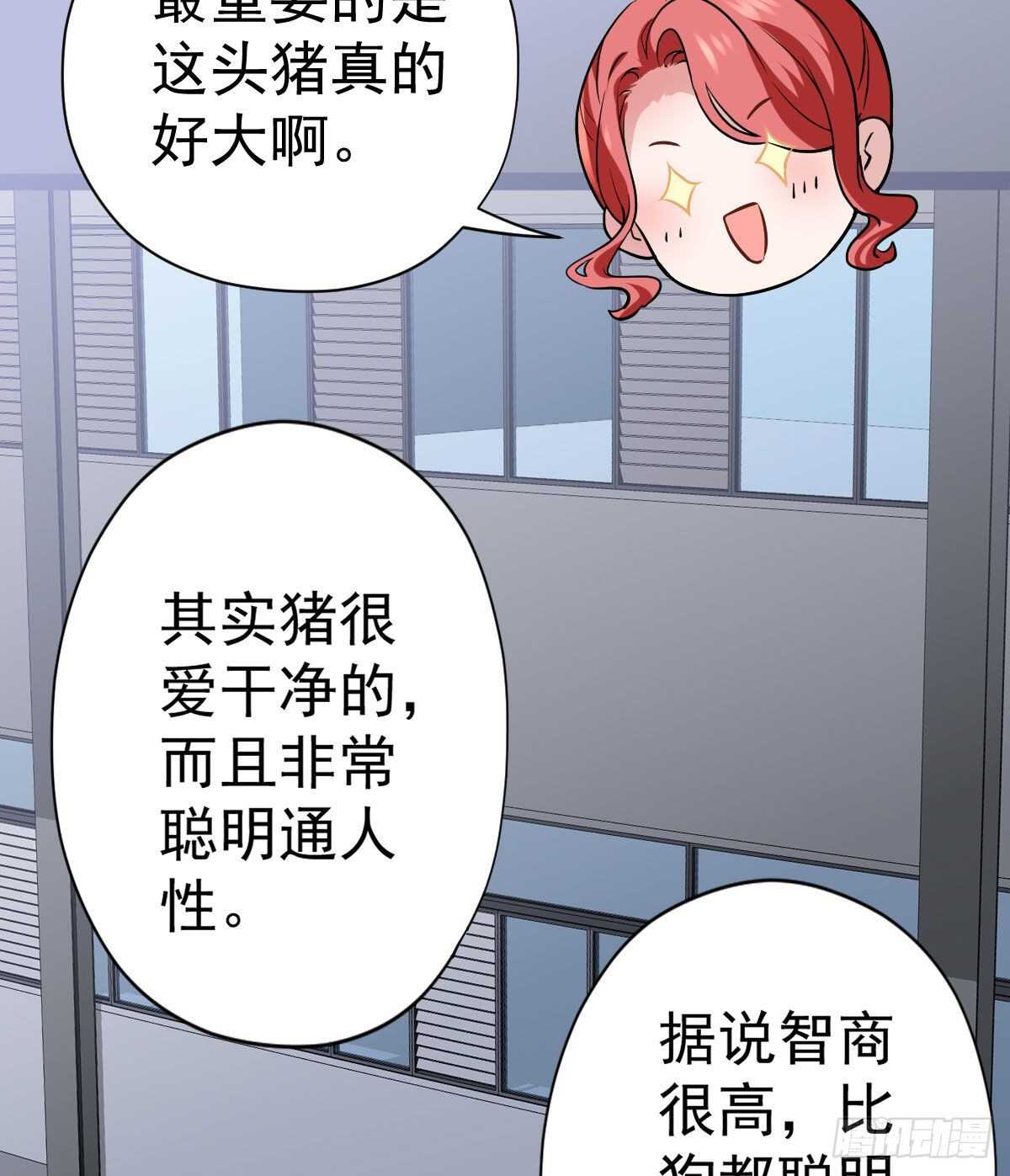 《我才不是恶毒女配（麻辣女配）》漫画最新章节苏晓的新坐骑免费下拉式在线观看章节第【38】张图片