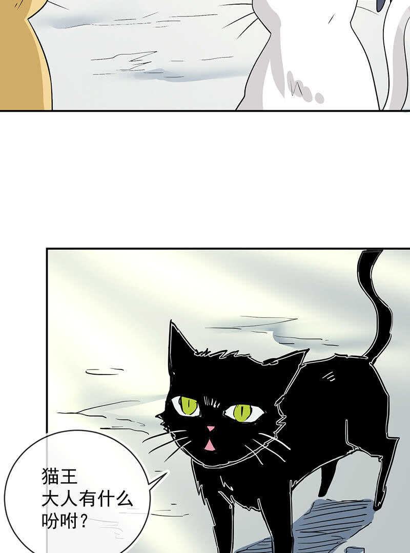 【我的充电女友】漫画-（猫猫特工队）章节漫画下拉式图片-16.jpg