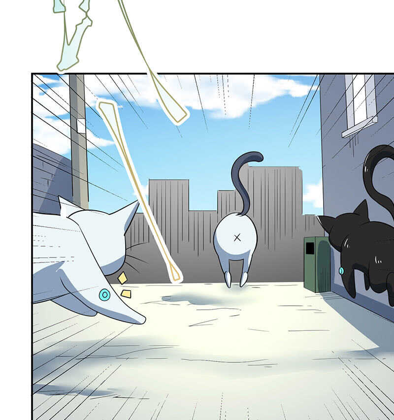 【我的充电女友】漫画-（猫猫特工队）章节漫画下拉式图片-19.jpg
