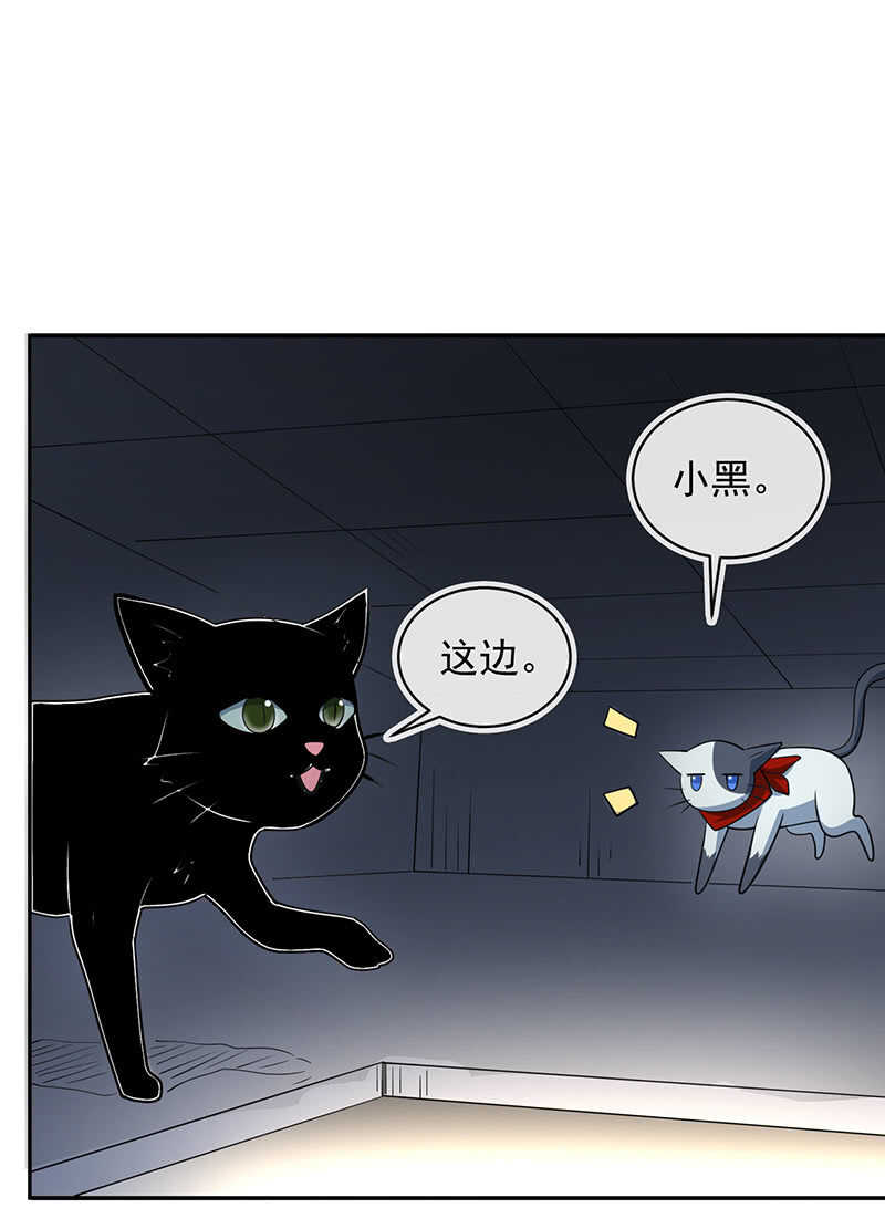 【我的充电女友】漫画-（猫猫特工队）章节漫画下拉式图片-32.jpg