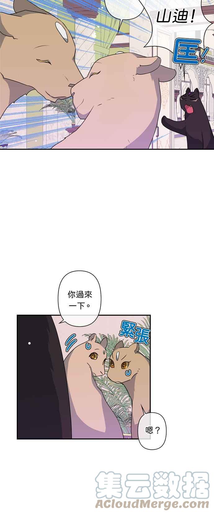 《我的野蛮萌友》漫画最新章节第37话免费下拉式在线观看章节第【11】张图片