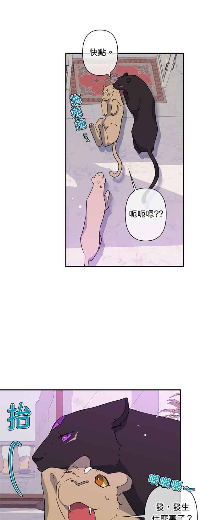 《我的野蛮萌友》漫画最新章节第37话免费下拉式在线观看章节第【12】张图片