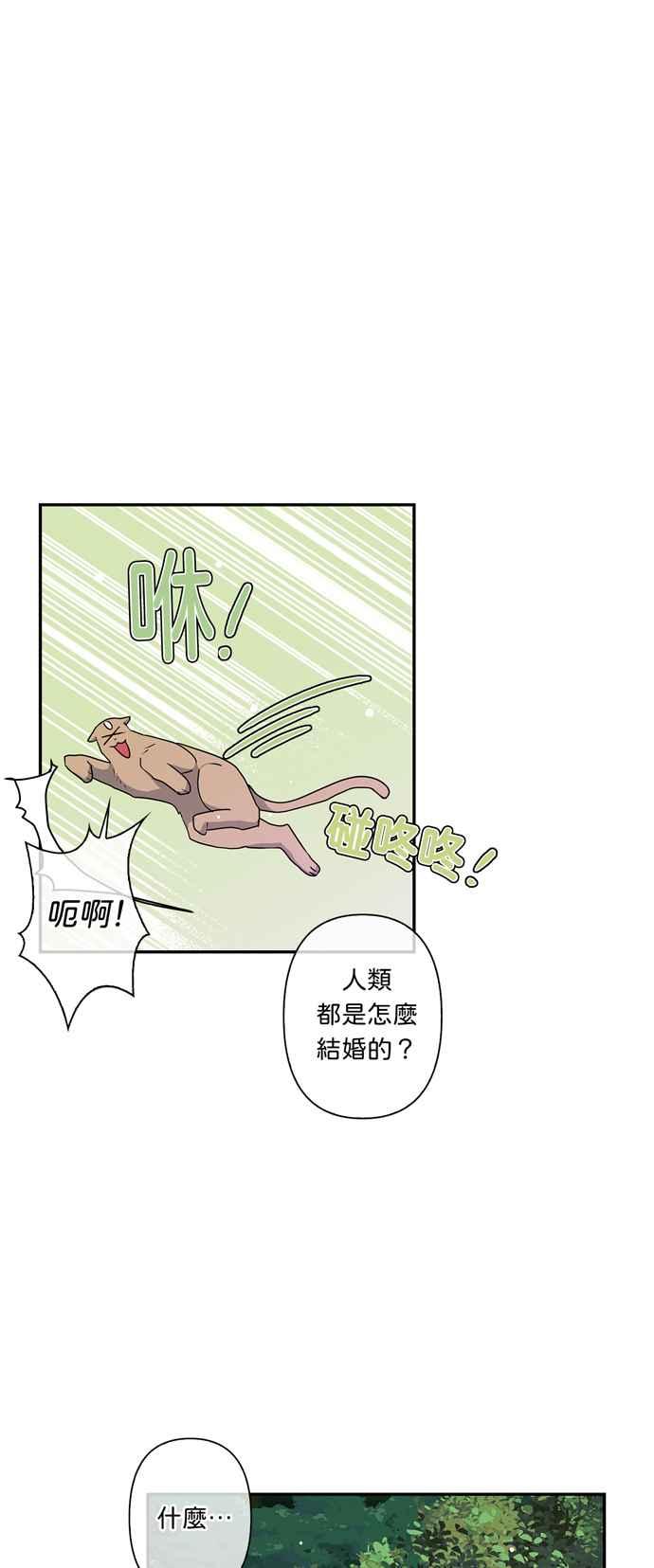 《我的野蛮萌友》漫画最新章节第37话免费下拉式在线观看章节第【14】张图片