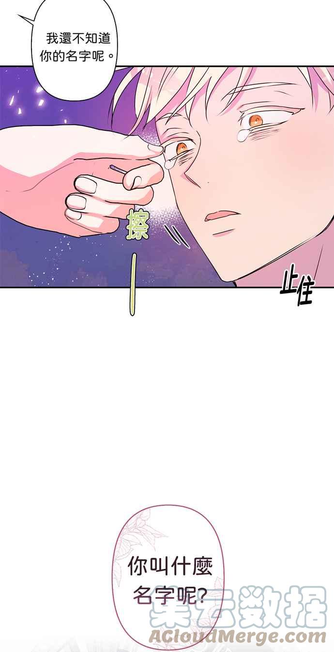 《我的野蛮萌友》漫画最新章节第41话免费下拉式在线观看章节第【46】张图片