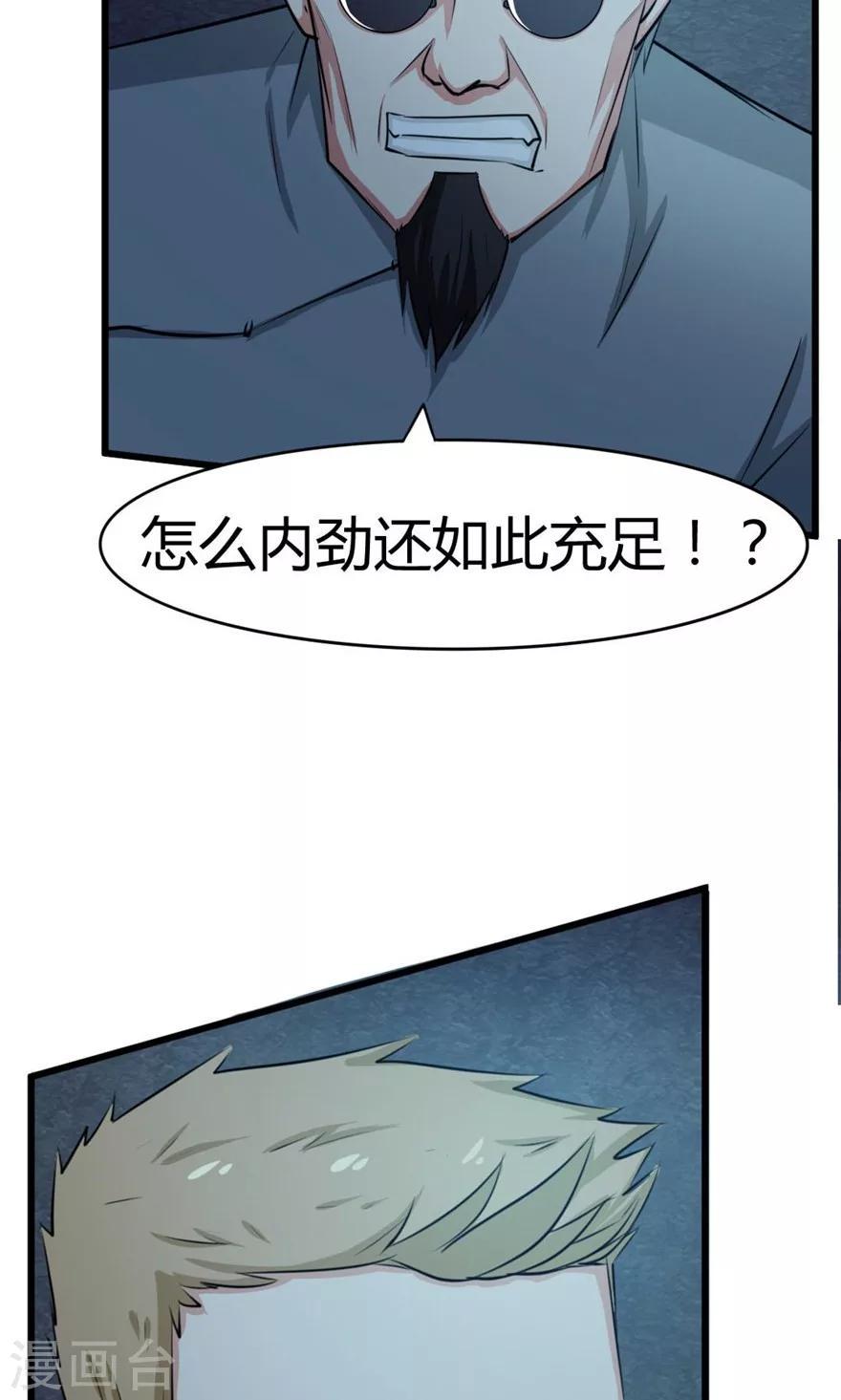 《我和26岁美女房客》漫画最新章节第33话 叶龙登场！免费下拉式在线观看章节第【12】张图片