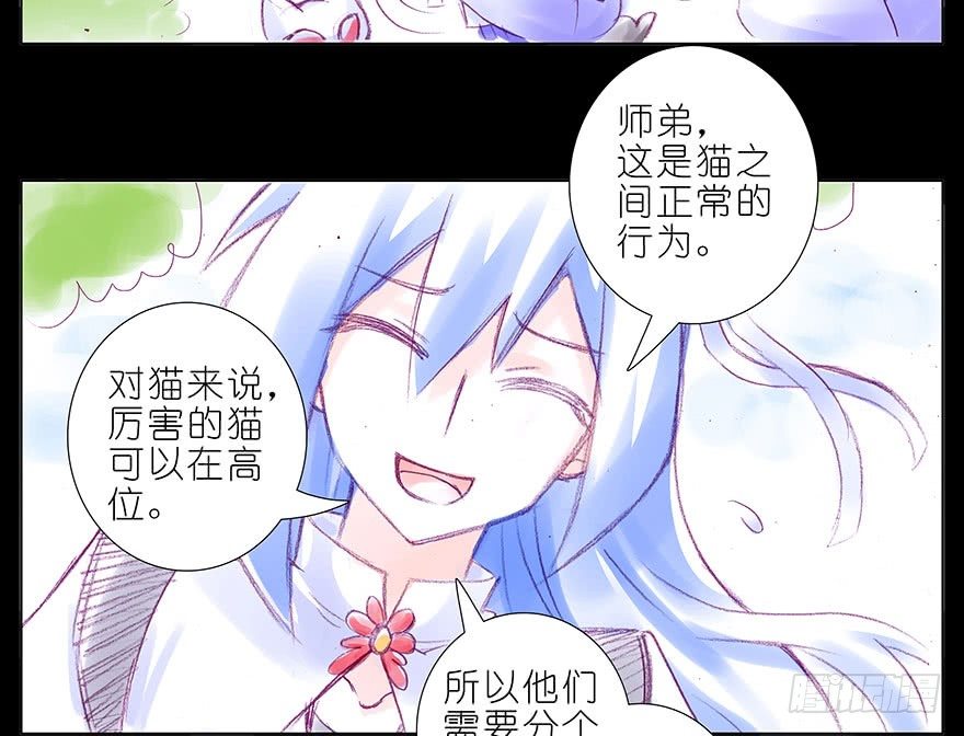 《我家大师兄脑子有坑》漫画最新章节番外：忽然养只猫 八免费下拉式在线观看章节第【6】张图片