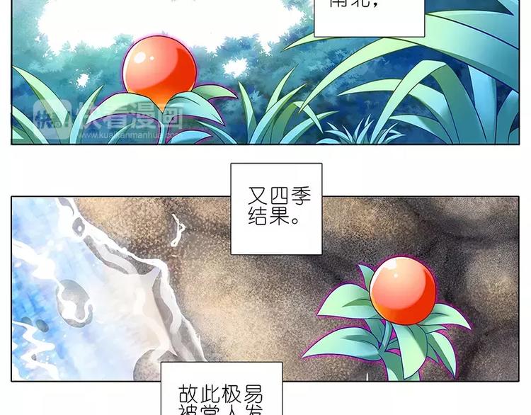 《我家大师兄脑子有坑》漫画最新章节修真界大百科一免费下拉式在线观看章节第【4】张图片