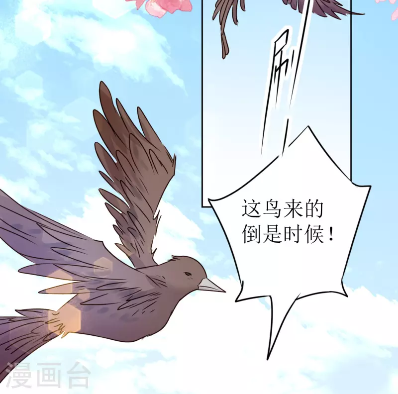 《我家侯爷不宠我》漫画最新章节第12话 他是大变态！免费下拉式在线观看章节第【11】张图片