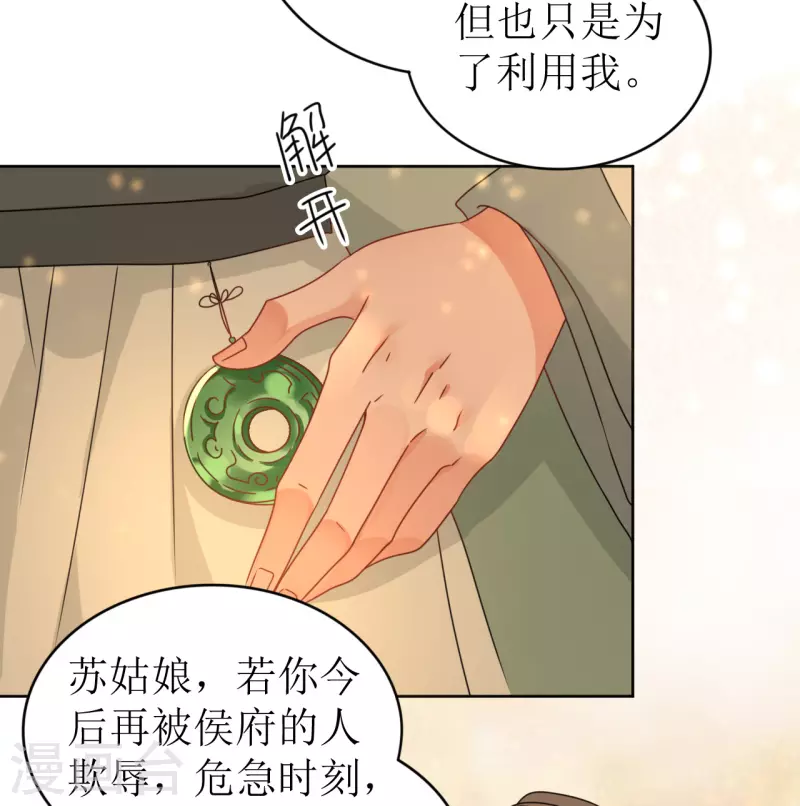 《我家侯爷不宠我》漫画最新章节第23话 花灯节之夜免费下拉式在线观看章节第【28】张图片