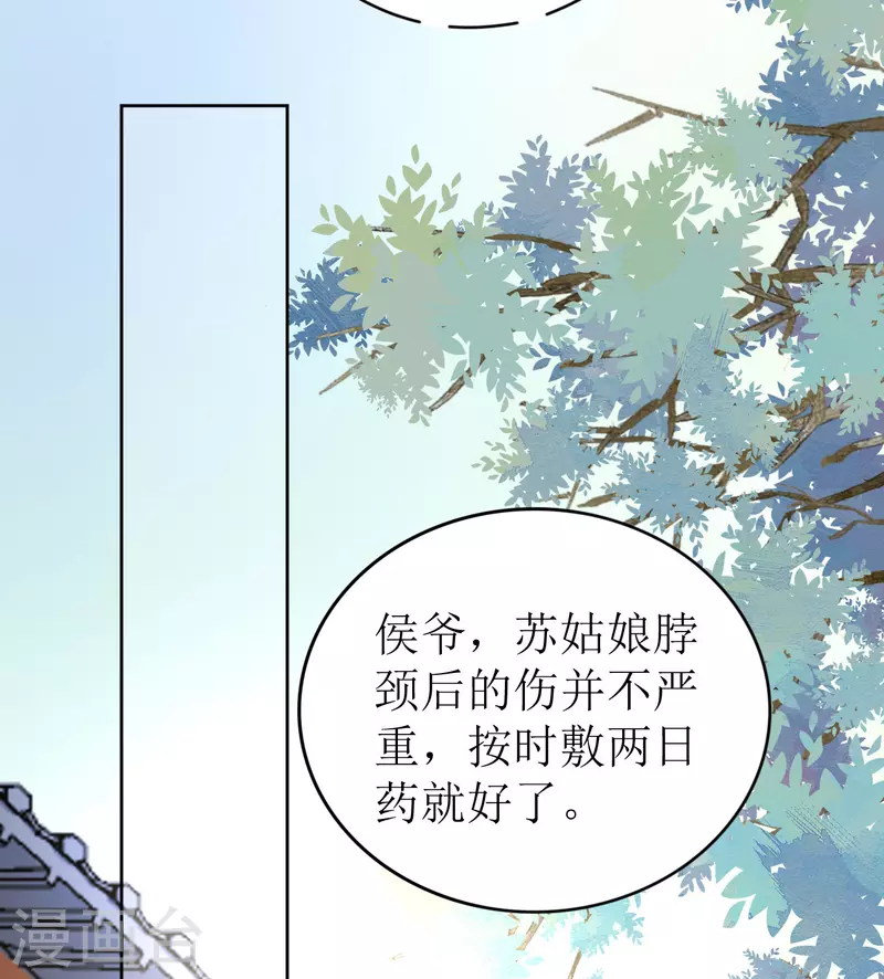 《我家侯爷不宠我》漫画最新章节第27话 被偷走的玉佩免费下拉式在线观看章节第【29】张图片