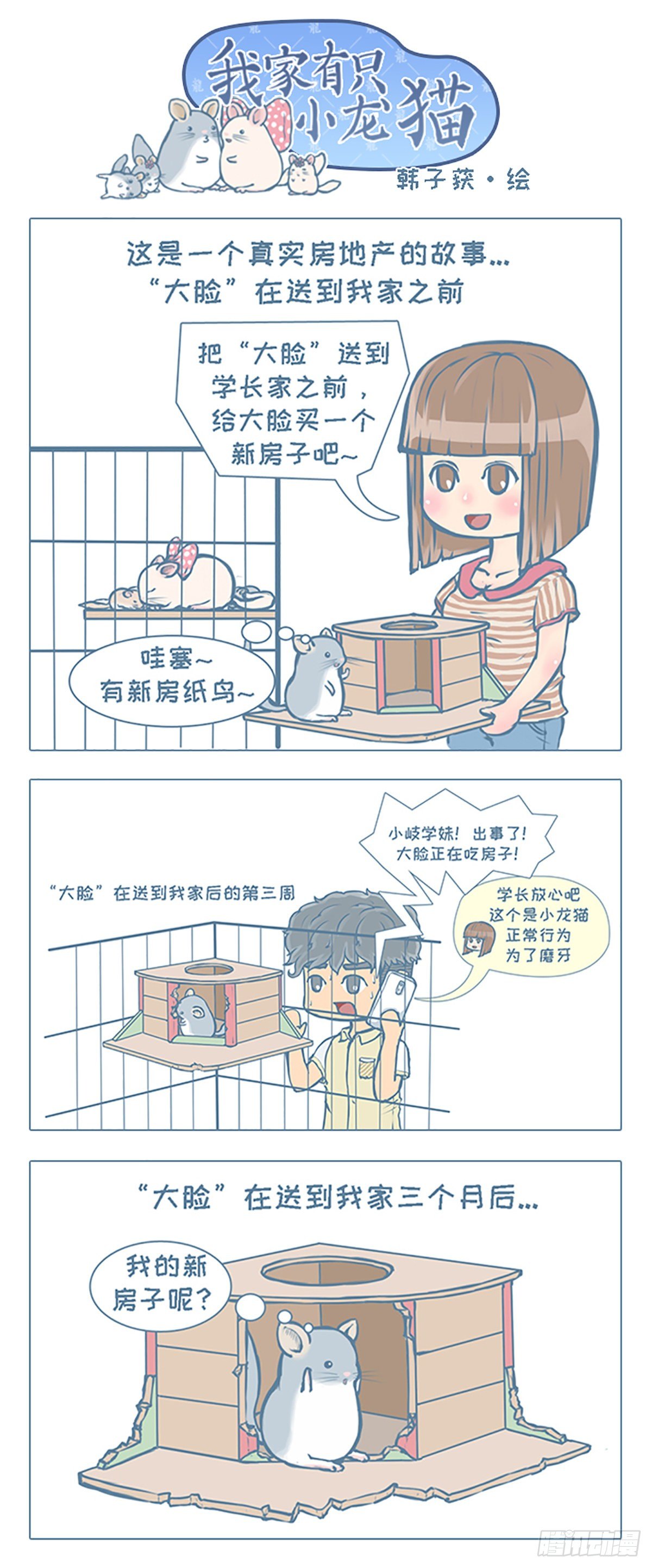 《我家有只小龙猫》漫画最新章节第14个小故事免费下拉式在线观看章节第【1】张图片