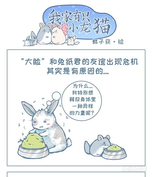 《我家有只小龙猫》漫画最新章节第112个小故事免费下拉式在线观看章节第【1】张图片